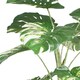image 2 of 180cm Variegated Monstera Realistic Artificial Tree