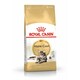 image 2 of Royal Canin Cat Maine Coon Adult - 10KG