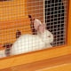 image 8 of Pawhut 90cm 2 Tiers Rabbit Hutch Wooden Pet Cage Run Vintage Bunny House