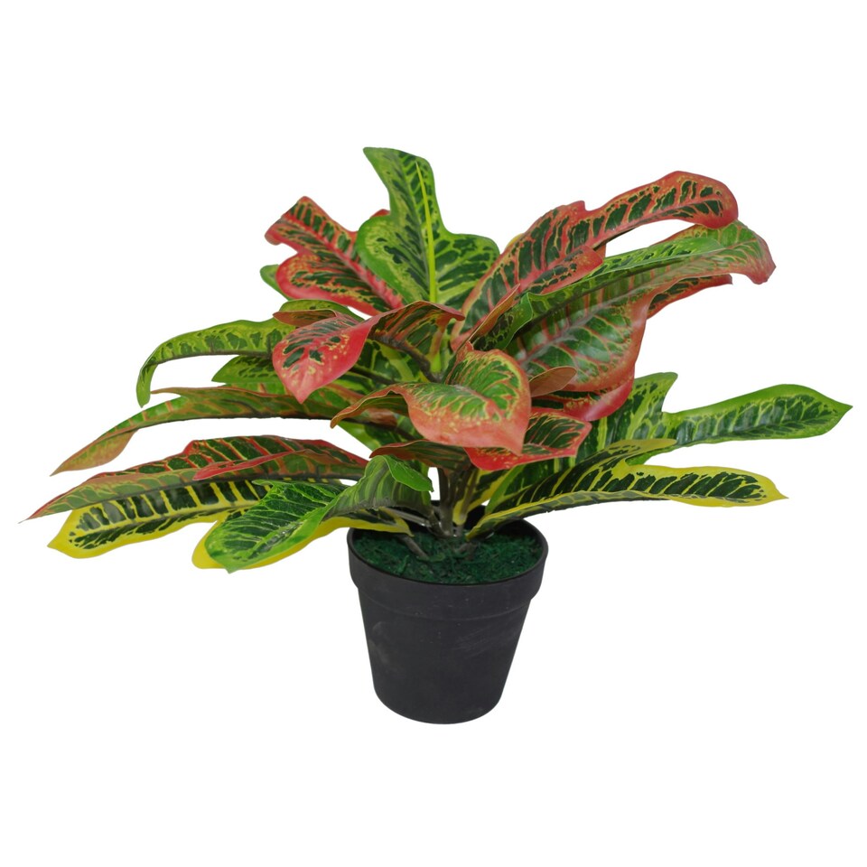image 1 of 40cm Artificial Codiaeum Multicoloured House Plant