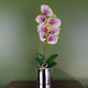image 1 of Artificial Orchid Pink with Silver Pot 46cm Harlequin Botanik
