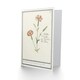 image 2 of Anselmus de Boodt Art Card Carnation Dianthus Flower