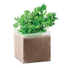 MidOcean Parsely Seeds | Brown | Beige | One Size | 1