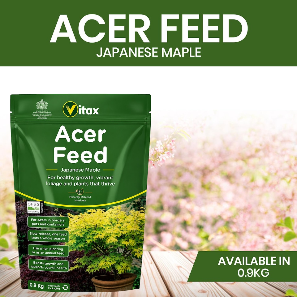 image 1 of Vitax Acer Feed Japanese Maple Tree Organic Plant Feed Healthy Growth Vibrant Foliage 0.9kg Pack of 2