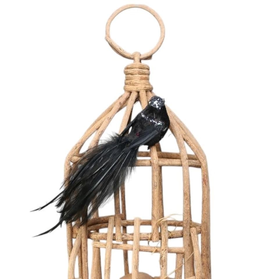 image 1 of Decorative Black Princess Bird With Clip