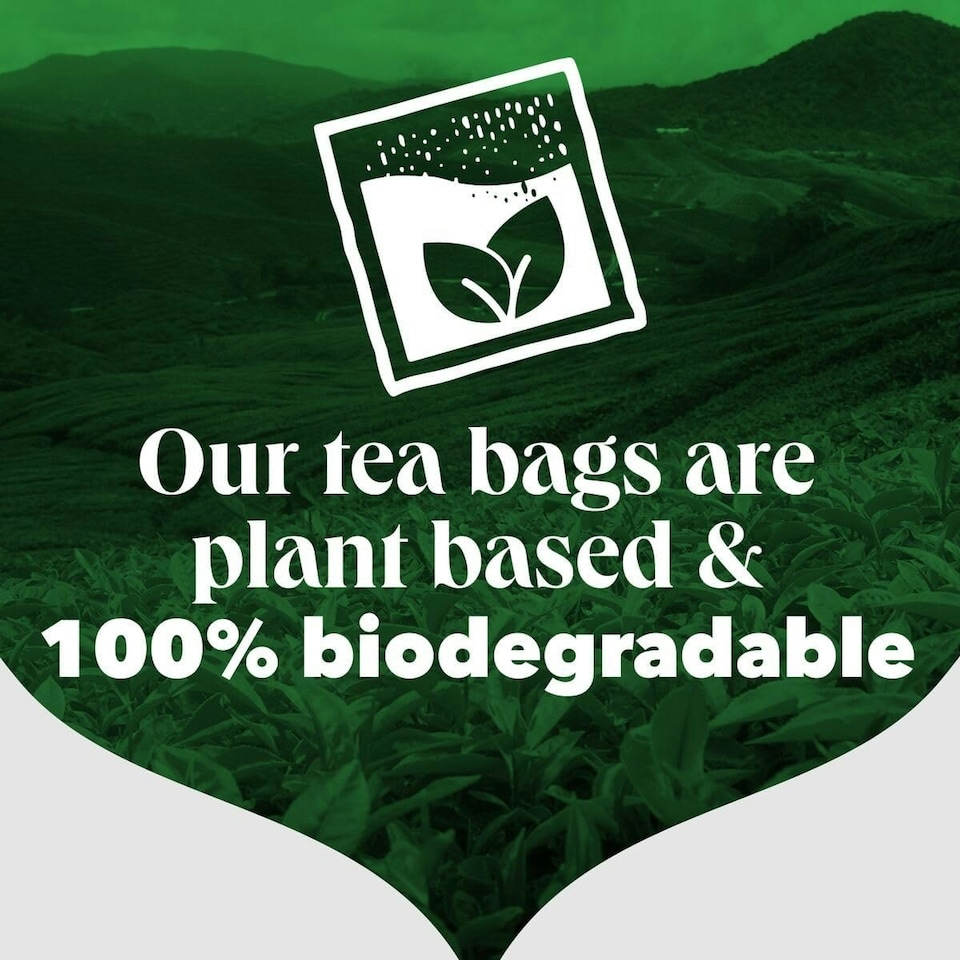 image 1 of PG Tips Decaf Black Tea Bags, Indulgent, Velvety & Rich Black Tea, Perfect Flavour Release, 6 Packs, 420 Plant Based Biodegradable  Tea Bags Black Tea