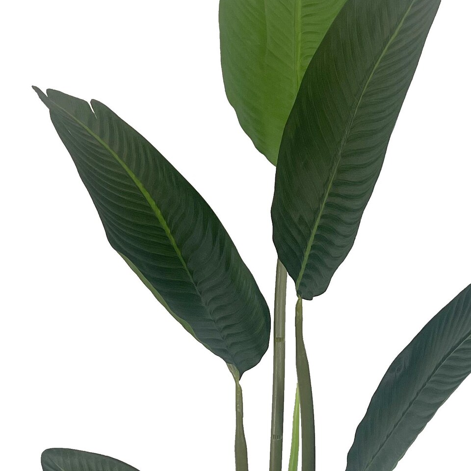 image 1 of Artificial 120cm UV Traveller Banana Palm Tree | Green | 4ft