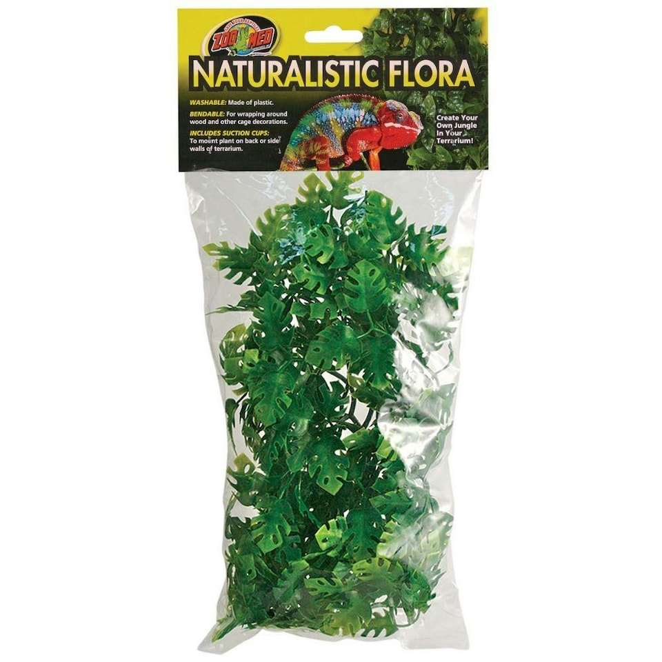 Zoo Med Natural Bush Amazonian Phyllo Reptile Terrarium Plant - Medium