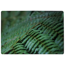 Grren Leaves Pattern And Texture At Indonesia Designer Rug | Multi