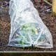 image 1 of Garden Gear PE Greenhouse Tunnel x 2 | Clear | 2