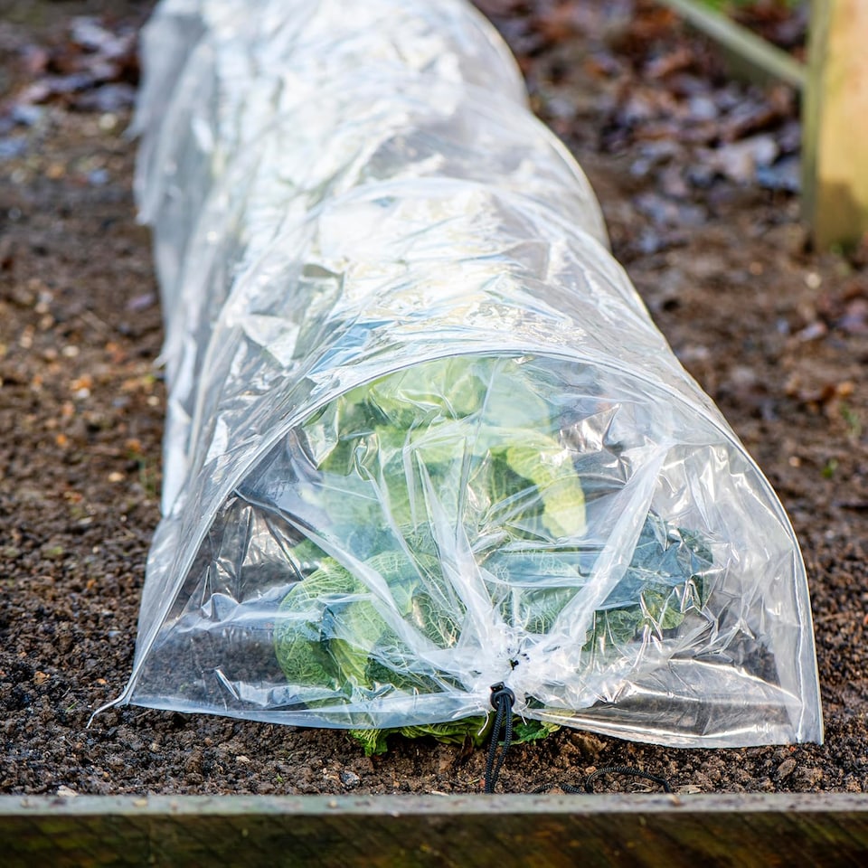image 1 of Garden Gear PE Greenhouse Tunnel x 2 | Clear | 2