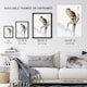 image 3 of Black Eared Kite Bird Japanese Japan Wall Art Print Numata Kashu 12x16"