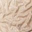 Beige Silver