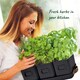 image 6 of Set of 6 Black Indoor Herb Pots with Tray