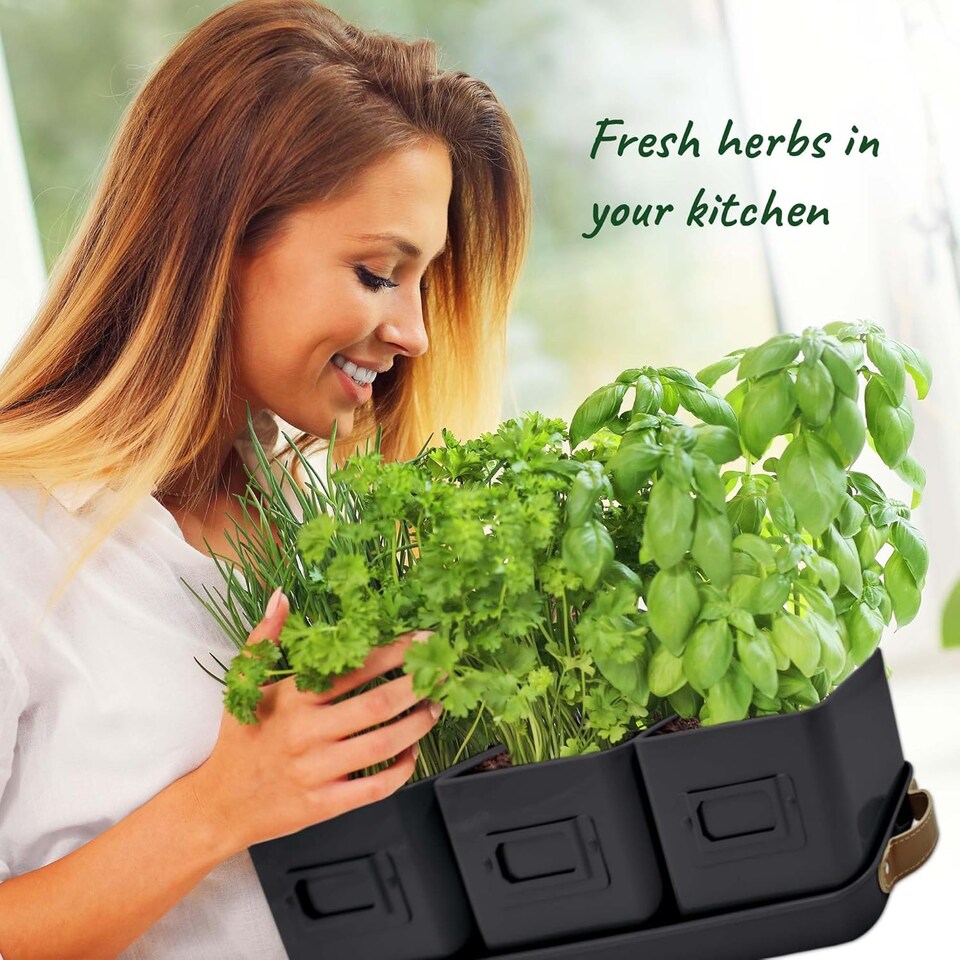 image 1 of Set of 6 Black Indoor Herb Pots with Tray