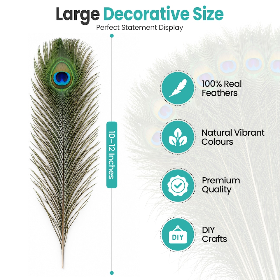 image 1 of Trimming Shop Real Peacock Feather, 10" - 12" Inch - 10pcs