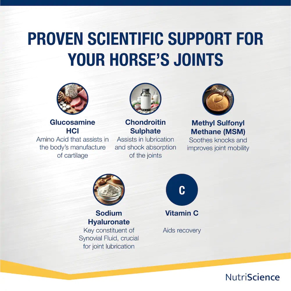 image 1 of NutriScience Horse Joint Supplement Glucosamine MSM Chondroitin Mobility Powder 3kg