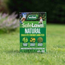 Westland SafeLawn Natural Lawn Feed, Child and Pet Friendly | Multi | 1 x 400sqm Bag
