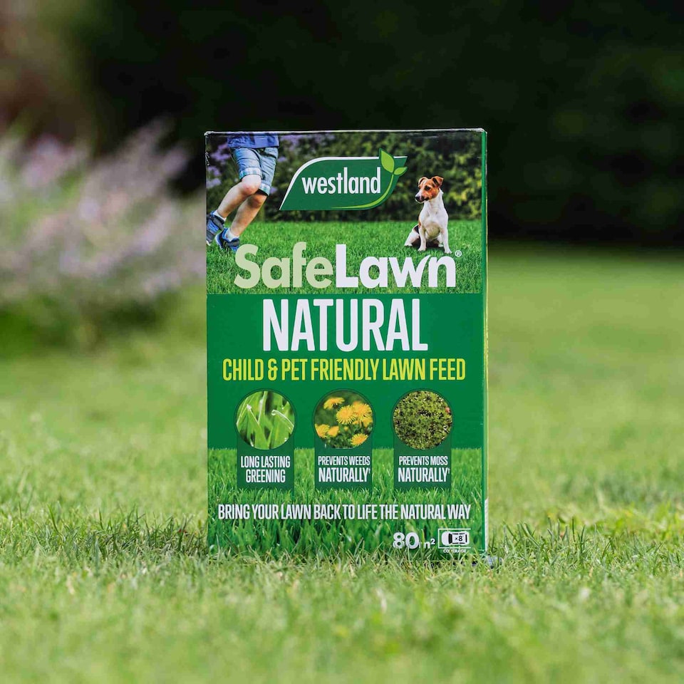 image 1 of Westland SafeLawn Natural Lawn Feed, Child and Pet Friendly | Multi | 1 x 400sqm Bag