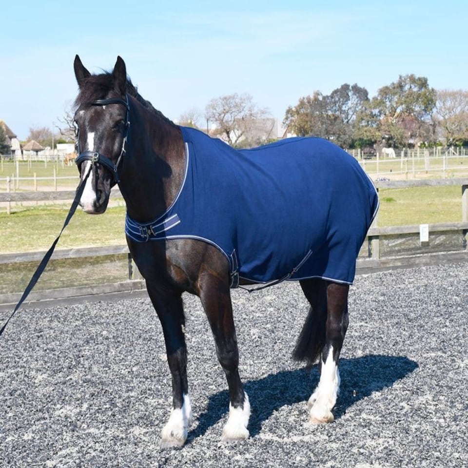 image 1 of Rhinegold Fleece Horsewalker/Lunge Rug Blue | Size: 7ft 0
Colour: Navy