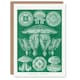 image 1 of Ernst Haeckel Art Card Discomedusae Jellyfish Species