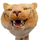 image 3 of Wild Thingz Tiger Hand Puppet