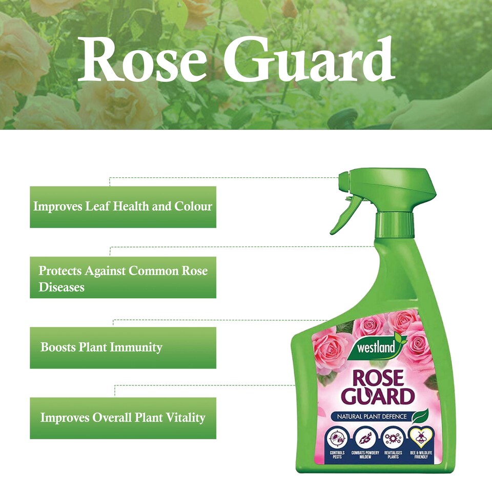 image 1 of Westland Rose Guard RTU 800ml Spray for Healthy Leaves Vibrant Colour Disease Protection and Stronger Blooms for Roses