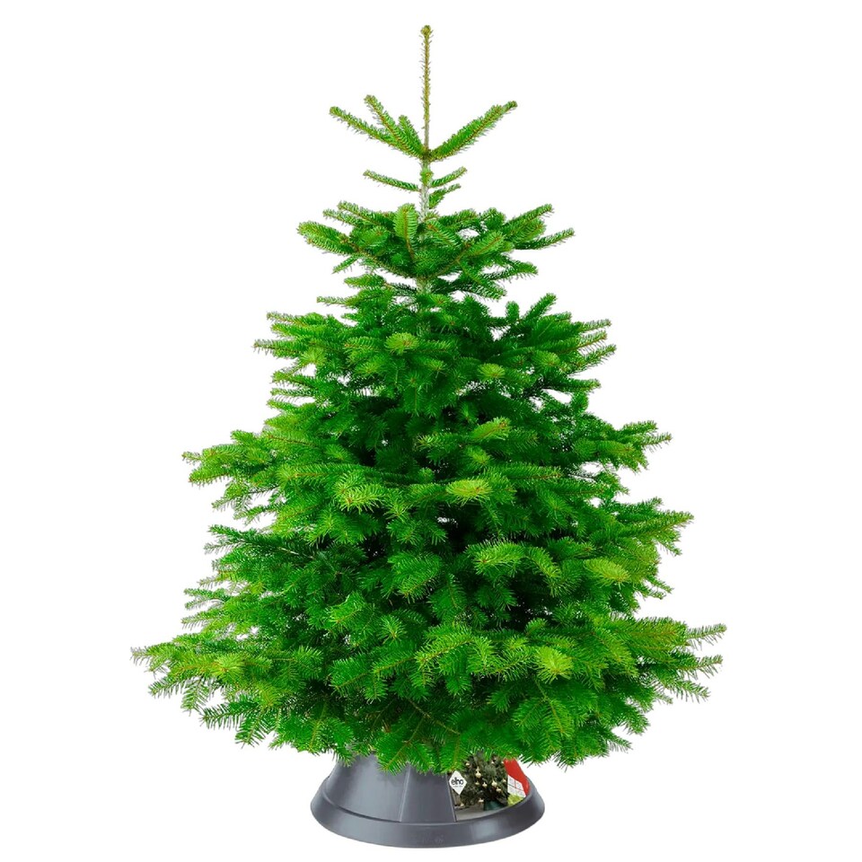 image 1 of Elho Nordman Anthracite Grey Christmas Tree Stand for Real Trees up to 10ft Tall
