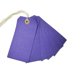 Box of 1000 Purple Strung Tags 120mm x 60mm Purple