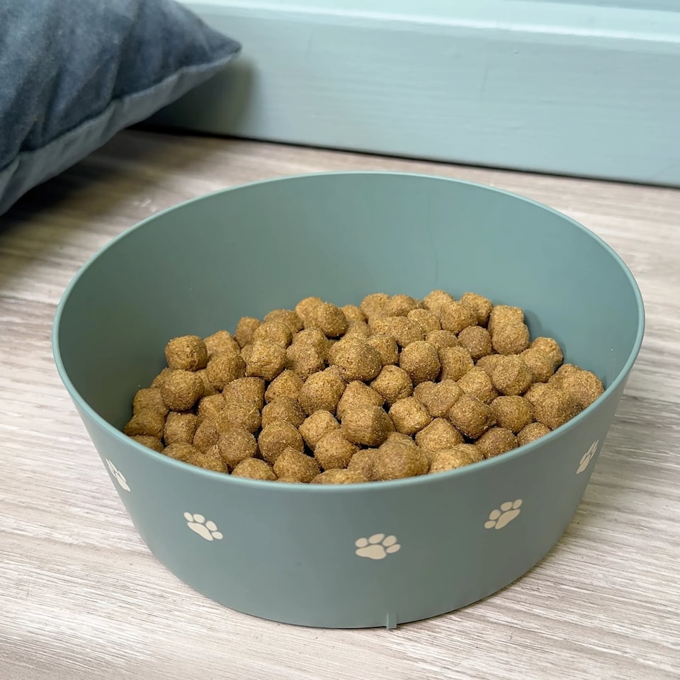 image 1 of Pre-personalised Dog Bowl Featuring Popular Names, Breeds and Captions - Barney - Over 60 Titles Available
