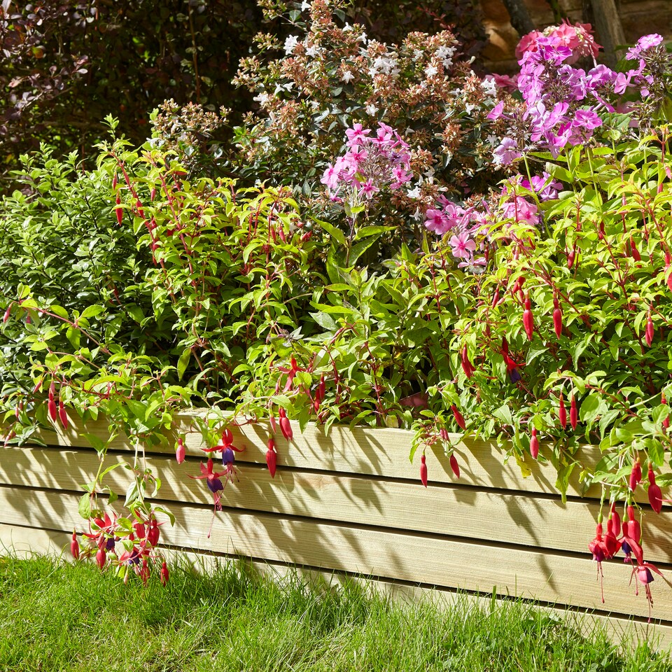 image 1 of Rowlinson Ledbury 8" Border Edging - 2 Pack