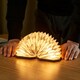 image 9 of Gingko Smart Accordion LED Desk Lamp N/A | Velvet Brown Zebra
