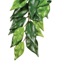 Exo Terra Silk Ficus Plant - Small