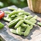 image 3 of Carbeth Plants 2 x Sugar Snap Pea Vegetable Plant - 6 pack - Easy Grow Kitchen Garden