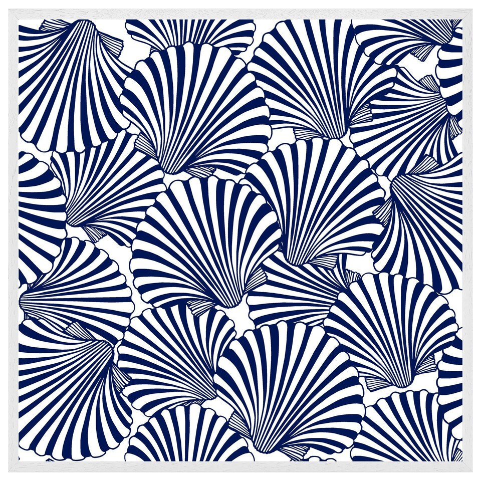 image 1 of Striped sea shells (Picutre Frame) White | L