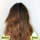 image 2 of Delhicious Rich Roots Strengthen & Moisturise Shampoo- Superfood Amla & Rosemary Oil