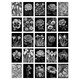 image 2 of Flower Floral Aesthetic Black White Wall Art Set of 50 Unframed A6 Prints