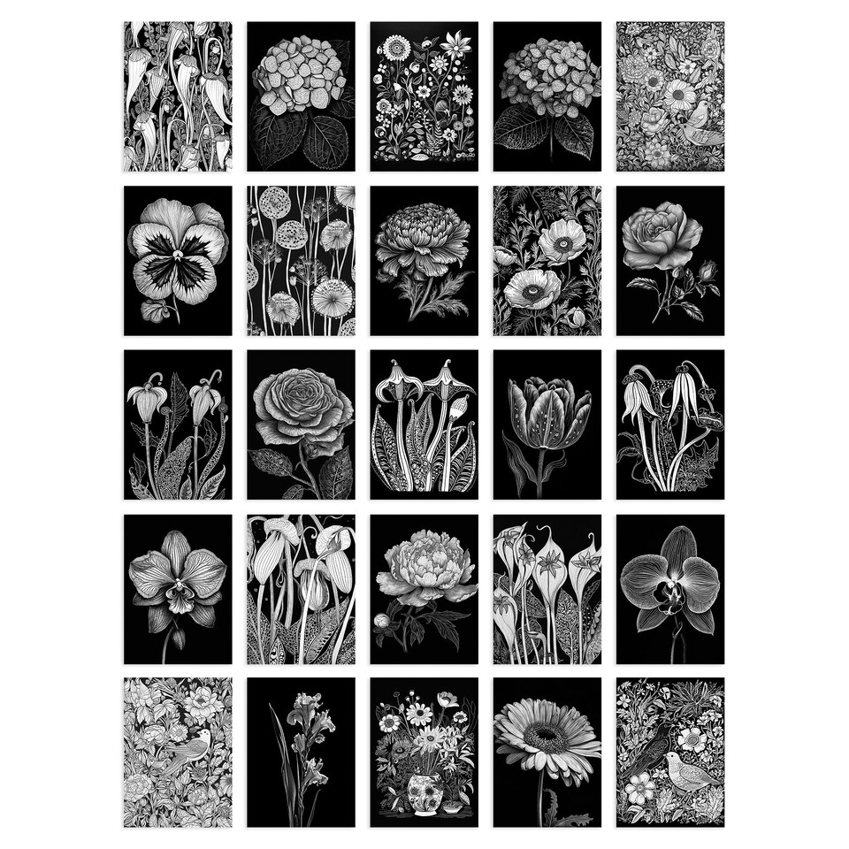 image 1 of Flower Floral Aesthetic Black White Wall Art Set of 50 Unframed A6 Prints