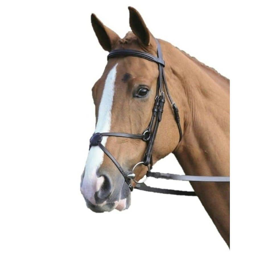 Aviemore Mexican Leather Horse Bridle - Havana - Pony