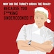 image 1 of Why Did The Turkey Cross The Road? - Funny Gordon Ramsay Christmas Card