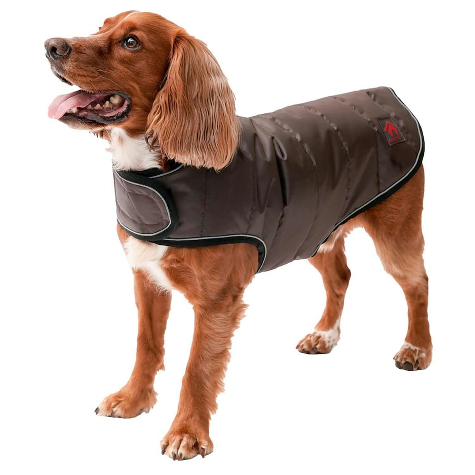 Firefoot Quilted Dog Coat - Brown - 36cm