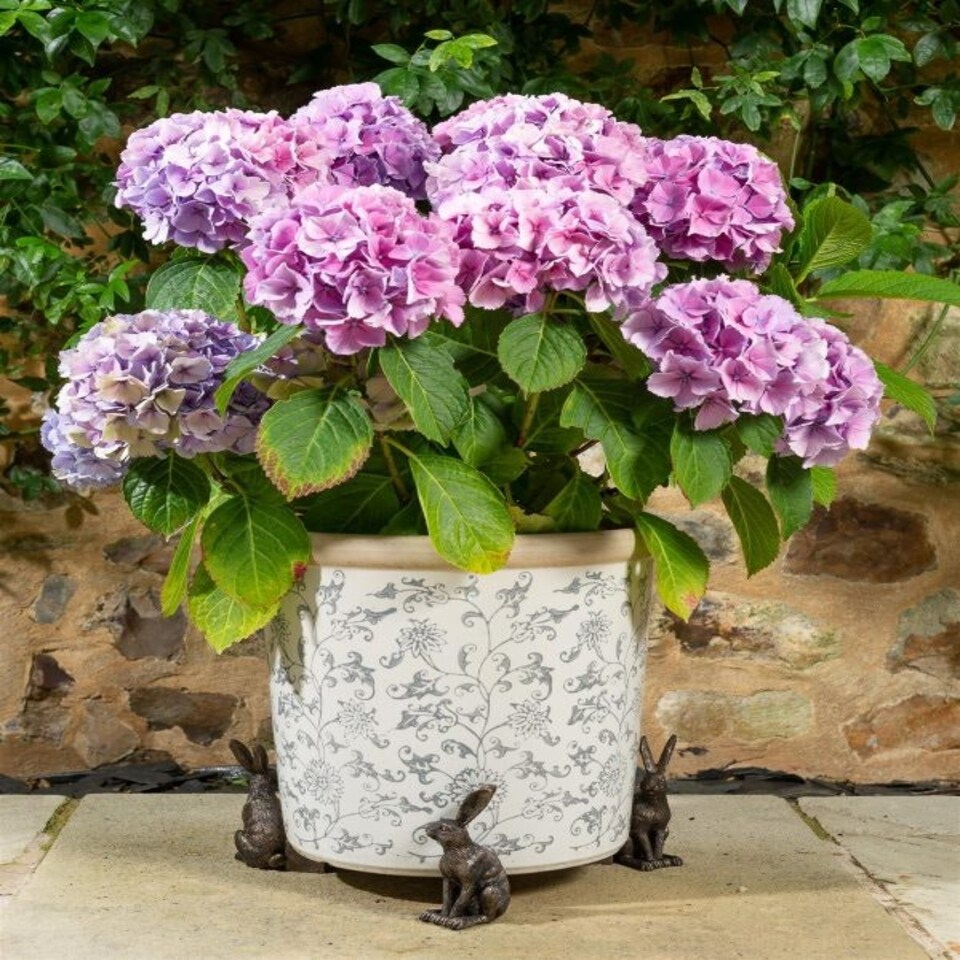 image 1 of Vigilant Hare Plant Pot Feet - Set of 3 Grey