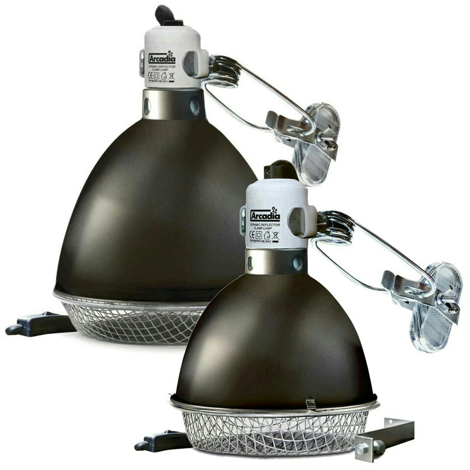 image 1 of Arcadia Clamp Lamps with Graphite Holder N/A | 20cm