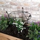 image 10 of Tom Chambers Heavy Duty Black Metal Steel Garden Plant Support Grow Through - 60cm x 35cm