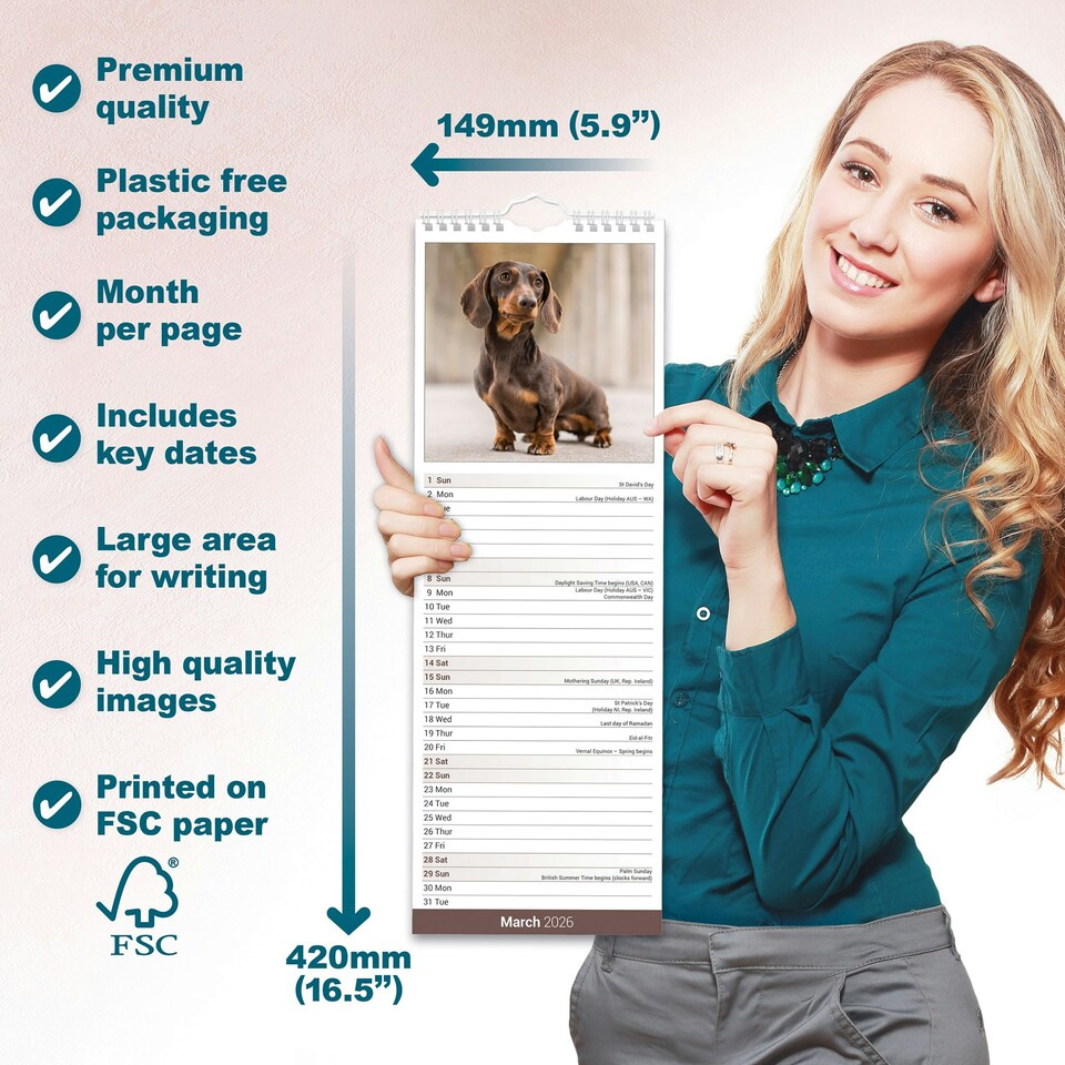 image 1 of Dachshund Slim 2026 Calendar | Slimline Wall Calendar | Dog Breed Gift | Plastic Free Packaging | by Avonside Publishing [Calendar] Avonside Publishing Ltd