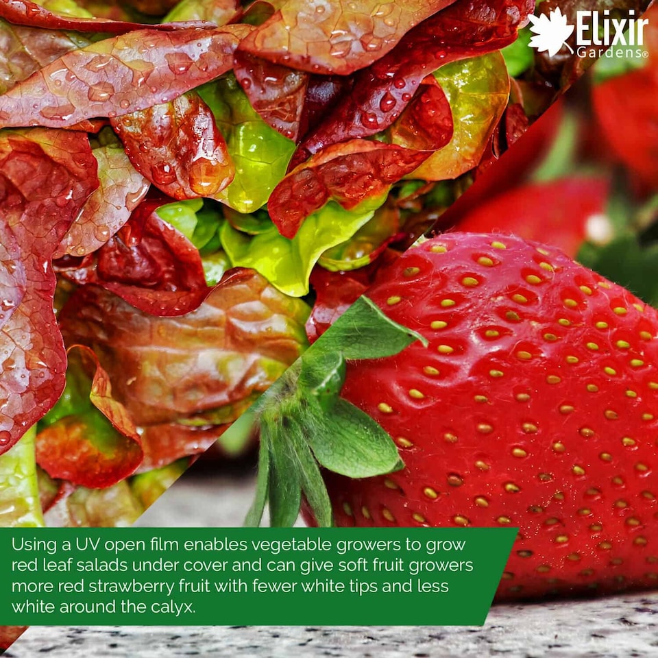 image 1 of Elixir Gardens Clear 720 Gauge Polytunnel Sheeting 11.1m wide x 20m