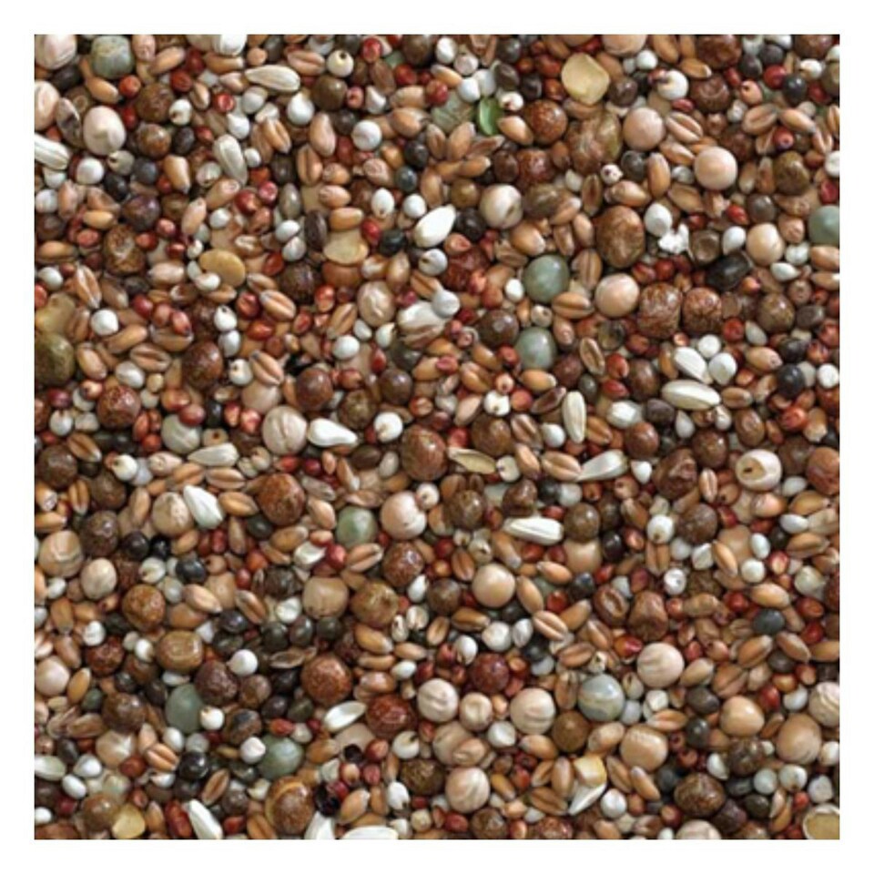 image 1 of Bucktons Young Bird 20kg Pigeon Food