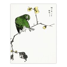 Fairy Pitta and Japanese Allspice Vintage Wall Art Print Kashu 24x32"
