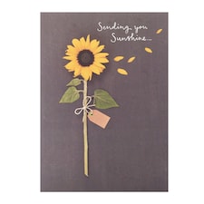 Open Card - Sending You Sunshine - Sunflower