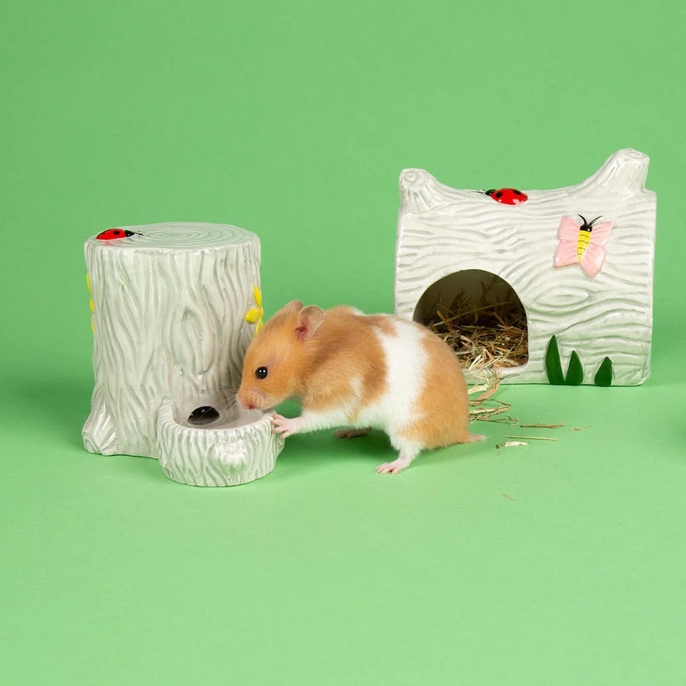 image 1 of Scruffs Small Pet Woodland Ceramic Set - House, Water & Food Bowl